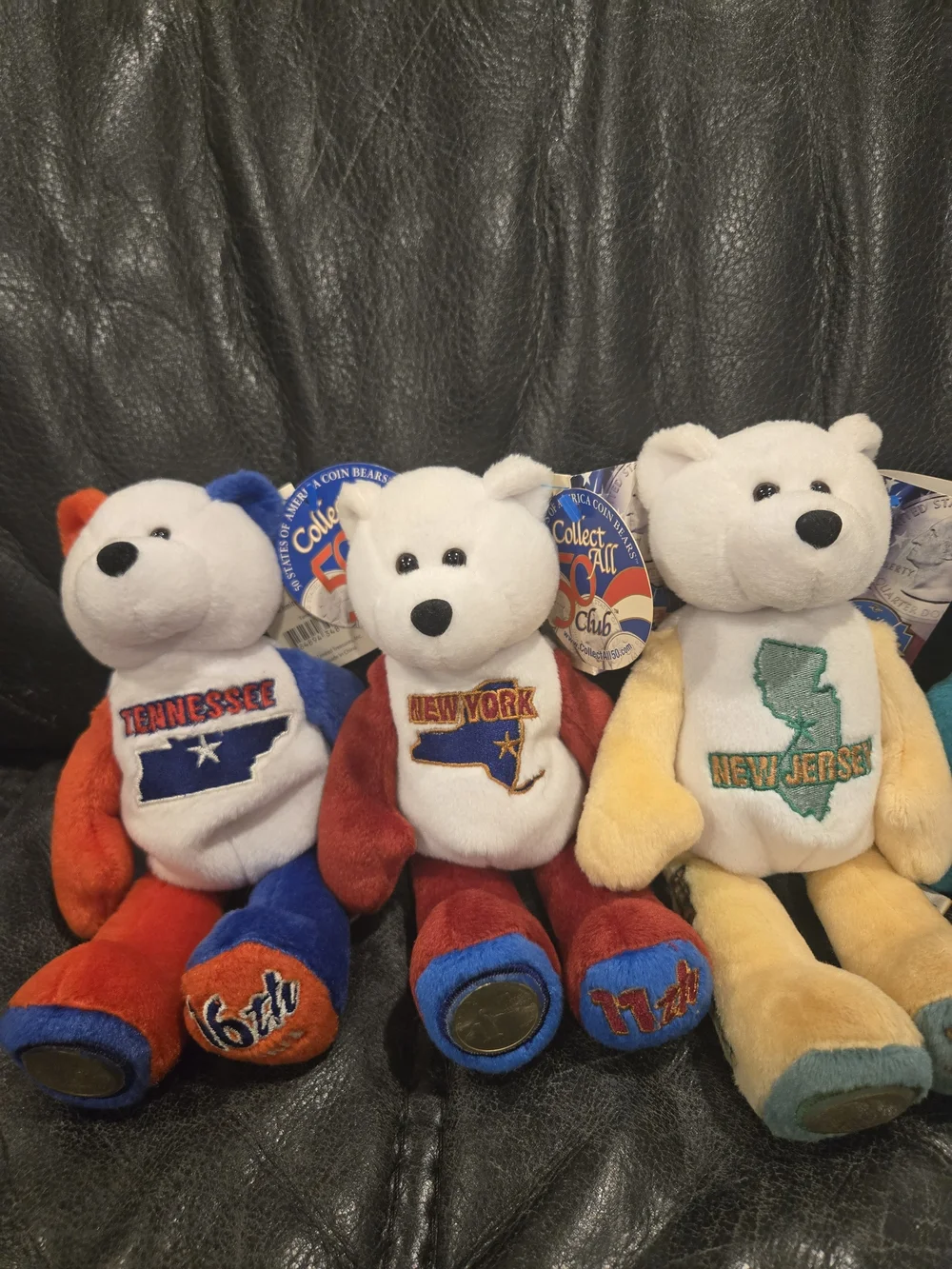 Limited Edition State Quarter Coin Bears – Collectible Plush- Like New - Picture 9 of 12